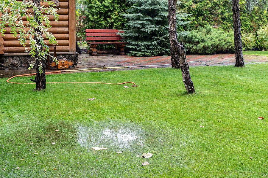 Standing water pooling across a lawn after heavy rain