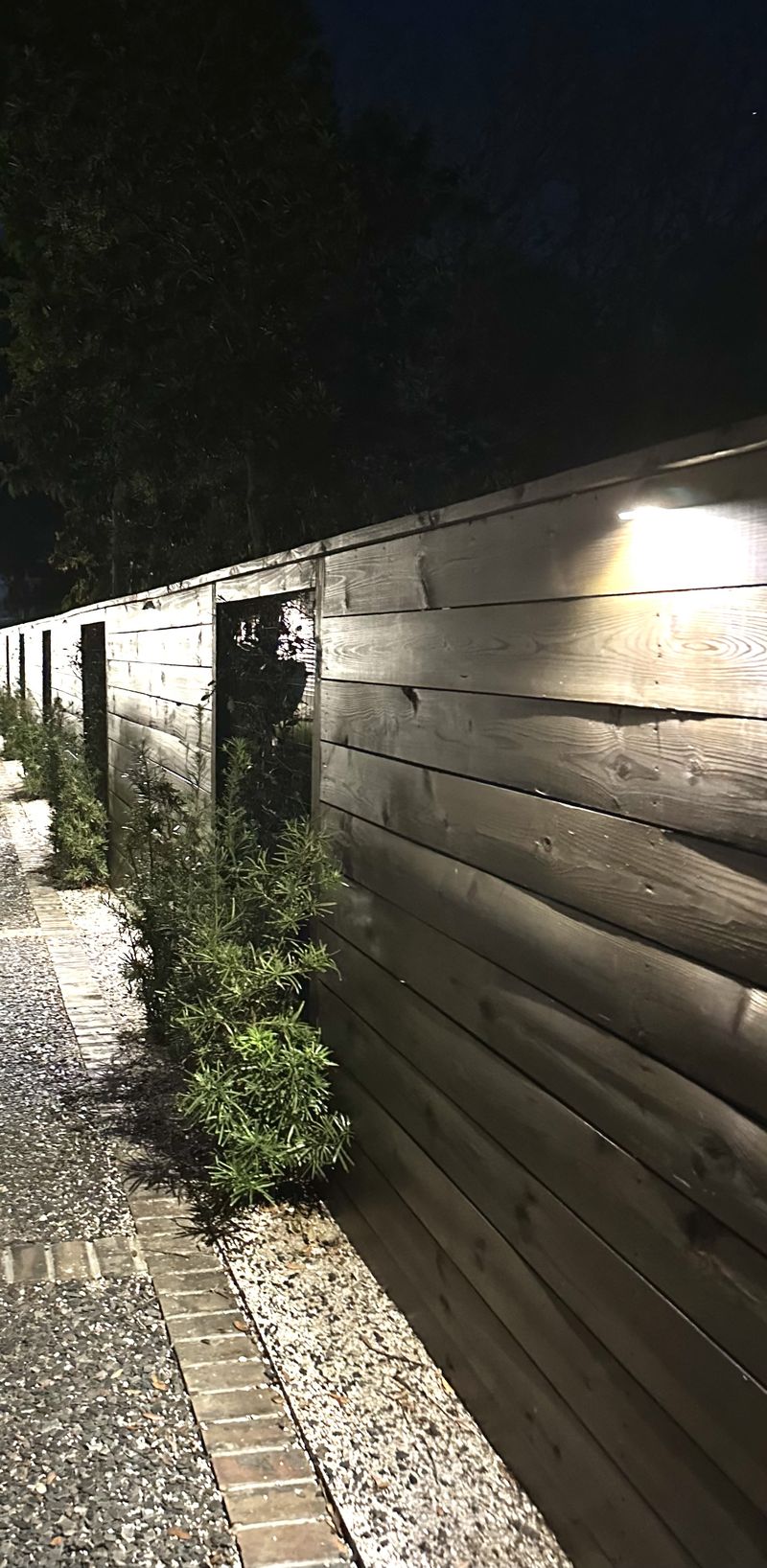 Downlights washing a horizontal wood privacy fence with young shrubs at night